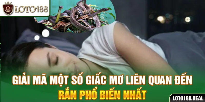 Giải mã một số giấc mơ liên quan đến rắn phổ biến nhất