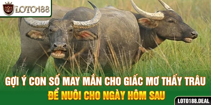 Mơ Thấy Trâu Đánh Con Gì? Giải Mã Giấc Mơ Về Trâu 2025 Gợi ý con số may mắn cho giấc mơ thấy trâu để nuôi cho ngày hôm sau