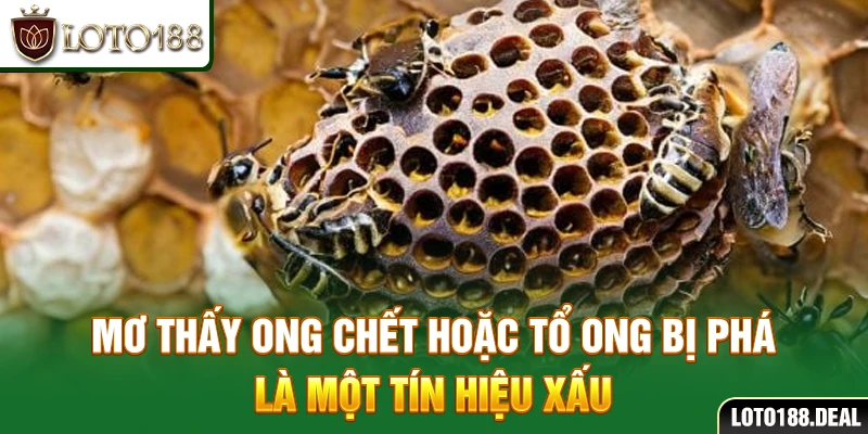 Giải Mã Giấc Mơ Thấy Ong: Điềm Báo May Mắn Hay Xui Xẻo 2025 Mơ thấy ong chết hoặc tổ ong bị phá là một tín hiệu xấu