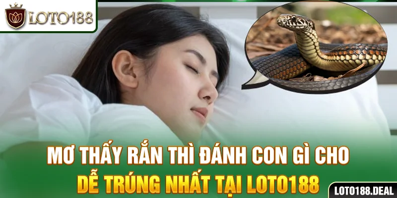 Mơ thấy rắn thì đánh con gì cho dễ trúng nhất tại Loto188