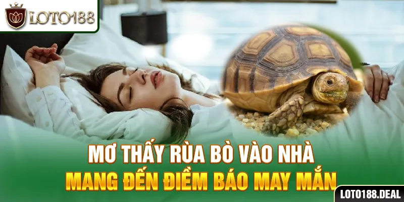 Giải Mã Giấc Mơ Thấy Rùa - Điềm Báo Con Số May Mắn 2025 Nào? Mơ thấy rùa bò vào nhà mang đến điềm báo may mắn