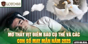 Mơ thấy vịt: