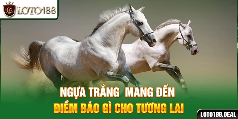 Ngựa trắng mang đến điềm báo gì cho tương lai