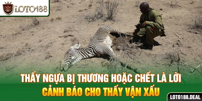 Thấy ngựa bị thương hoặc chết là lời cảnh báo cho thấy vận xấu