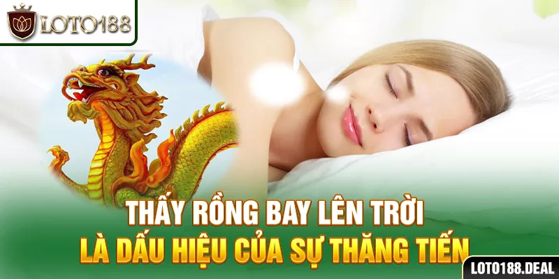 Thấy rồng bay lên trời là dấu hiệu của sự thăng tiến 
