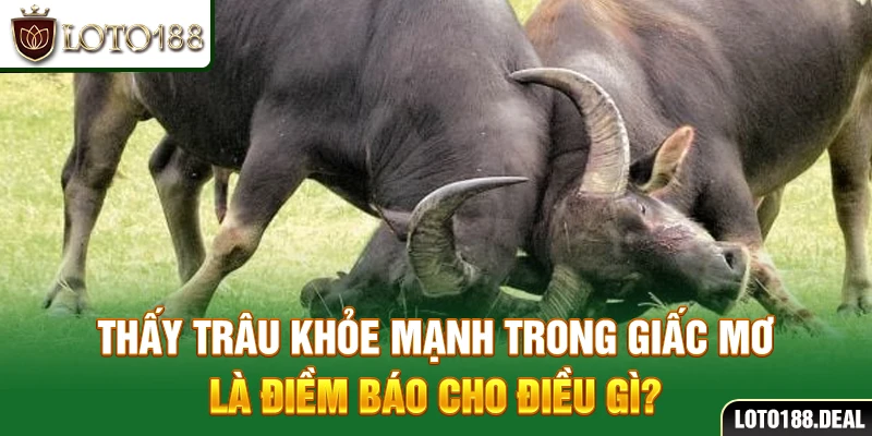 Mơ Thấy Trâu Đánh Con Gì? Giải Mã Giấc Mơ Về Trâu 2025 Thấy trâu khỏe mạnh trong giấc mơ là điềm báo cho điều gì?