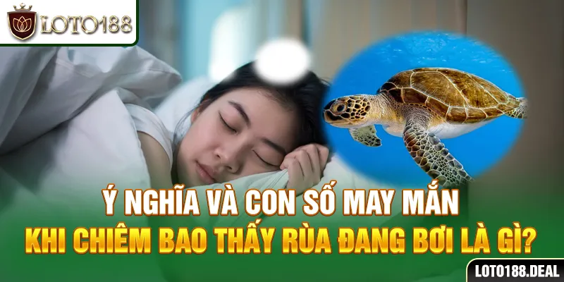 Giải Mã Giấc Mơ Thấy Rùa - Điềm Báo Con Số May Mắn 2025 Nào? Ý nghĩa và con số may mắn khi chiêm bao thấy rùa đang bơi là gì?