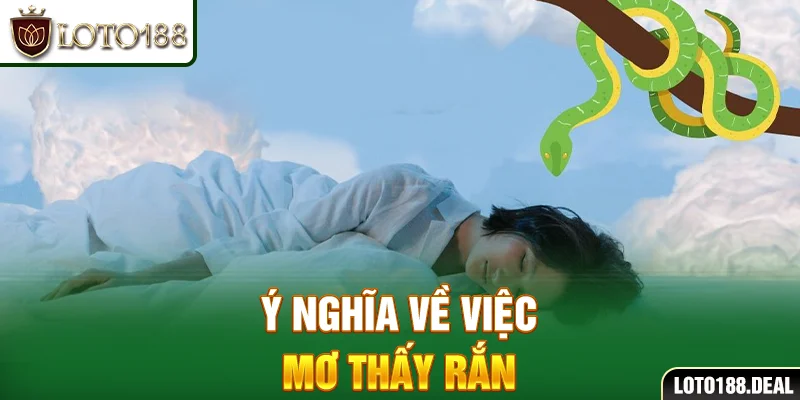 Ý nghĩa về việc mơ thấy rắn