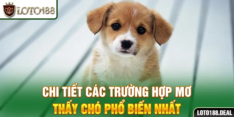 Chi tiết các trường hợp mơ thấy chó phổ biến nhất