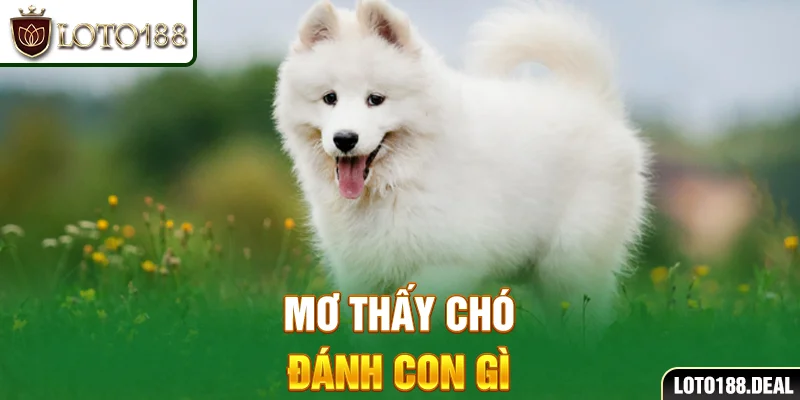 Mơ thấy chó đánh con gì