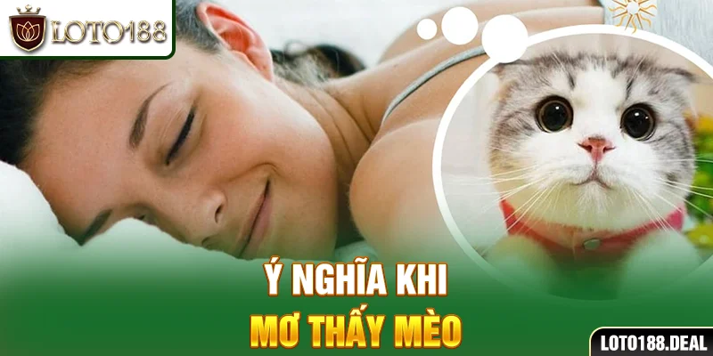Giải mã những giấc mơ thấy mèo chuẩn xác 100% tại Loto188 Ý nghĩa khi mơ thấy mèo